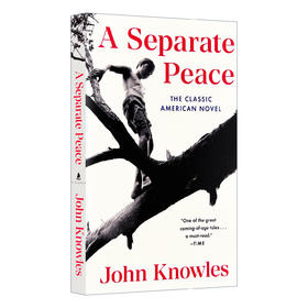 独自和解 英文原版青春小说 A Separate Peace 一个人的和平 全英文版进口英语书籍 另一种和平 电影原著 可搭麦田里的守望者正版