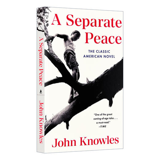 独自和解 英文原版青春小说 A Separate Peace 一个人的和平 全英文版进口英语书籍 另一种和平 电影原著 可搭麦田里的守望者正版 商品图0