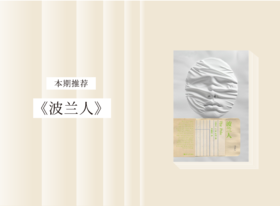 长篇小说 |《波兰人》