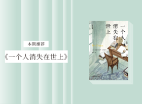 长篇小说 |《一个人消失在世上》
