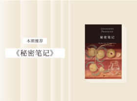 长篇小说 |《秘密笔记》