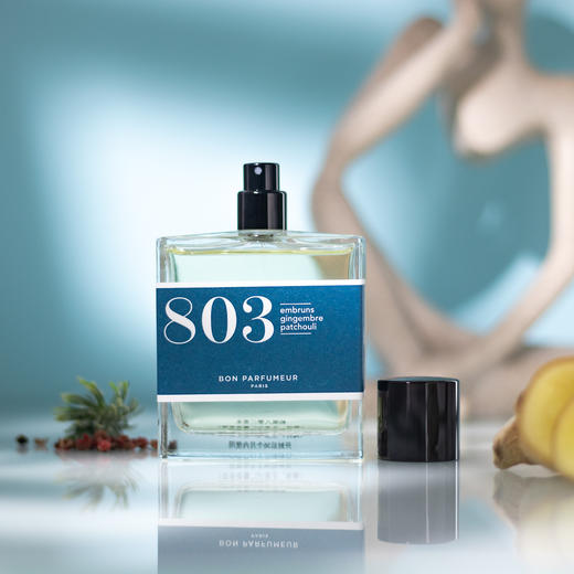 柏氛 803海洋、生姜与广藿香 Bon Parfumeur 803 sea spray, ginger, patchouli 分装 商品图1