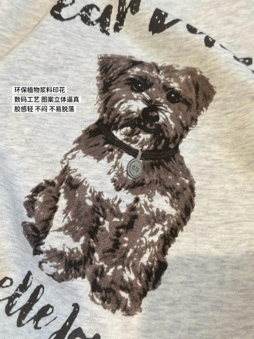 韩国dp新出的小熊狗卫衣08282 商品图6