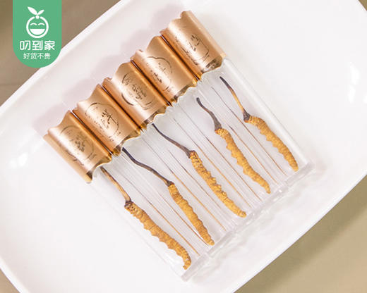 青海果洛冬虫夏草礼盒（干货-配礼袋）/1盒（16条，共4g±0.4g）生产日期：25年11月补单专用 商品图1