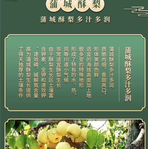 【四时饮品 | 陕西蒲城秦梨膏】精选优质蒲城酥梨，以及太行山散养蜂蜂蜜，辅以多种草木食材，经过传统工艺匠心熬制，膏体清亮，口感细腻顺滑，酸甜适中，家中四季常备~ 商品图7