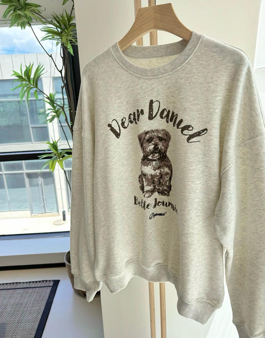 韩国dp新出的小熊狗卫衣08282 商品图10