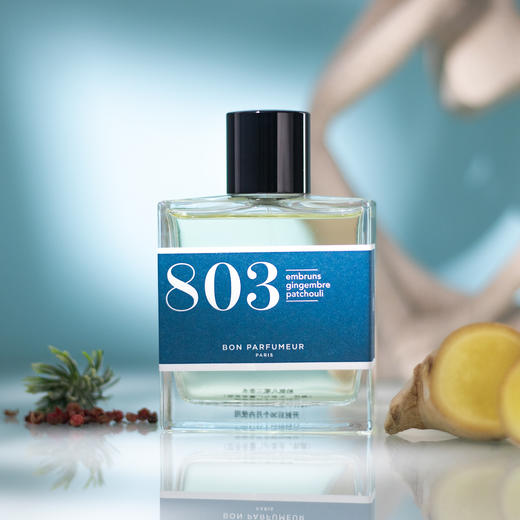 柏氛 803海洋、生姜与广藿香 Bon Parfumeur 803 sea spray, ginger, patchouli 分装 商品图0