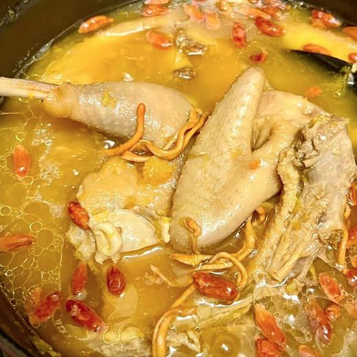 天农原种供港「清远鸡」， 清远鸡保种单位，鸡有鸡味，白水煮都巨鲜【G】 商品图2