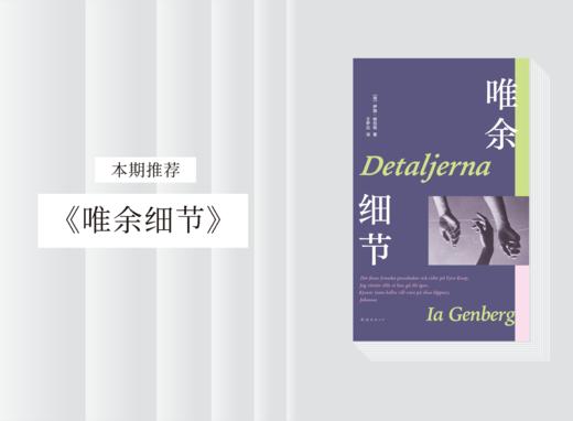 长篇小说 |《唯余细节》 商品图0