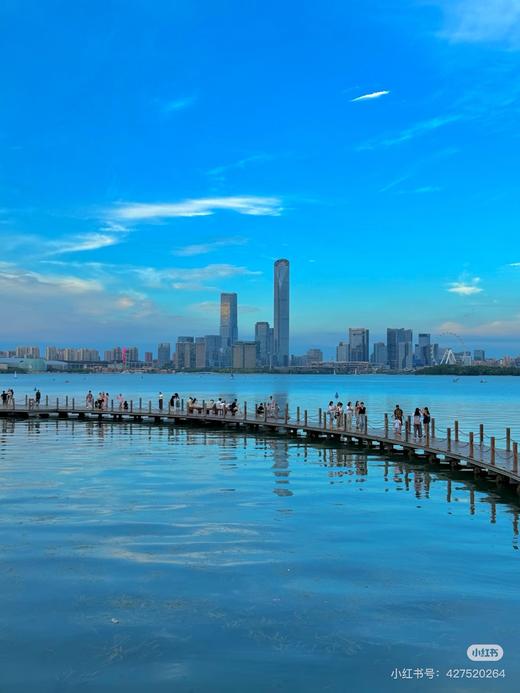 WeCycle大宁9/5小布苏州金鸡湖骑游行 商品图2