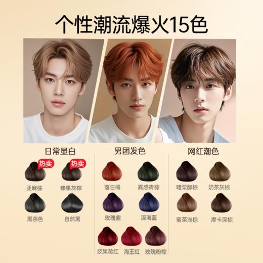 H5染发膏无氨水配方彩染 商品图5