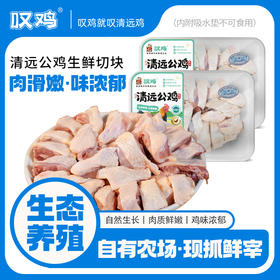【顺丰/京东冷链】叹鸡清远鸡肉块 供港企业湾区金标认证 地标好物 生鲜冷冻 散养走地鸡土鸡 - 叹鸡