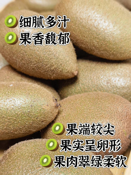 猕猴桃之都--陕西周至【25年头茬-特甜翠香猕猴桃】公认的“VC冠中之冠” ❗️产于天然氧吧 | 种植15年以上周至农户直供🛫不是所有翠香都叫特甜翠香 商品图2