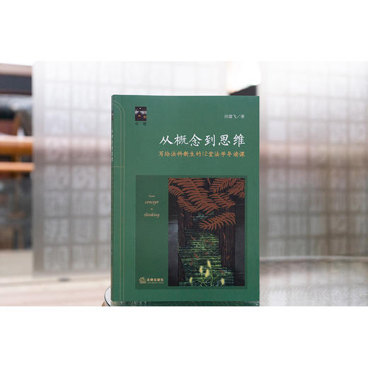 从概念到思维——写给法科新生的12堂法学导读课 肖建飞著 法律出版社 商品图0