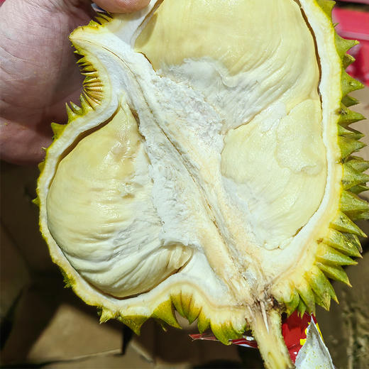 【江浙沪顺丰包邮】泰国金枕榴莲买一送一两只装，死包烂包包赔（4.4-5.5斤） 商品图4