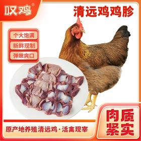 【顺丰/京东冷链】清远鸡生鲜鸡胗500g*2袋 供港企业湾区金标认证 正宗清远鸡 地标好物  - 叹鸡