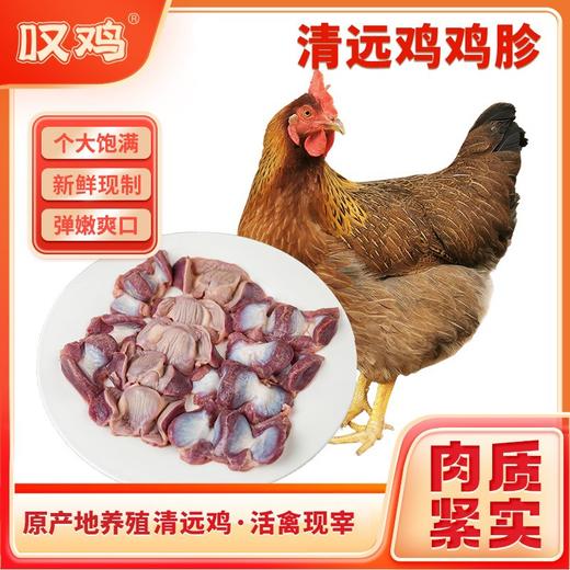 【顺丰/京东冷链】清远鸡生鲜鸡胗500g*2袋 供港企业湾区金标认证 正宗清远鸡 地标好物  - 叹鸡 商品图0