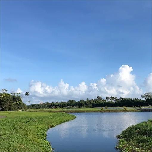 富国岛珍珠高尔夫俱乐部 Vinpearl Golf Phú Quốc  | 富国岛高尔夫球场 | 越南高尔夫球场俱乐部 商品图2