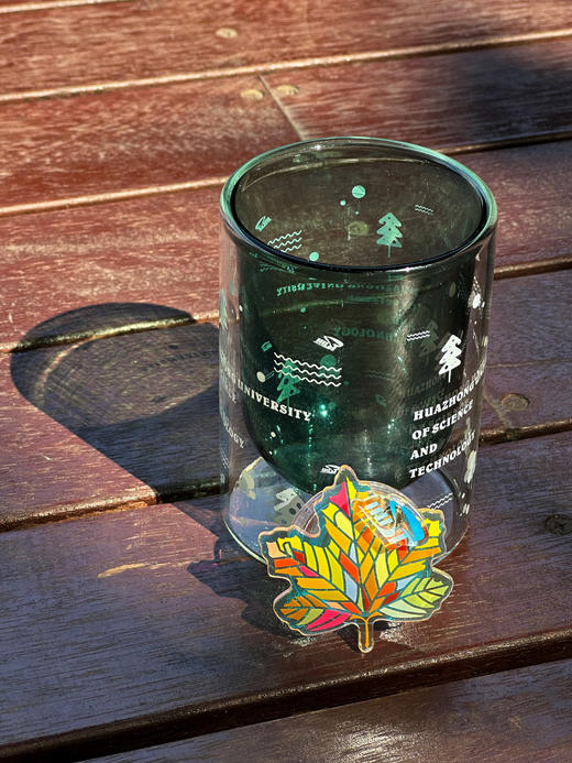 华中大双层防烫玻璃杯 商品图5