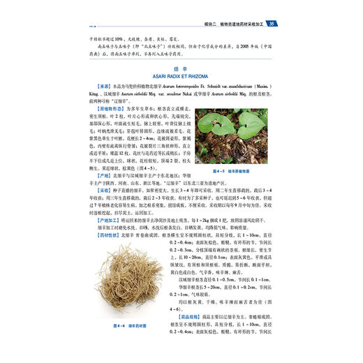 中药材产地加工技术 全国高职高专药学类专业规划教材（第三轮）易东阳 熊凯 主编 供中药学 中药制药专业用 中国医药科技出版社 商品图4