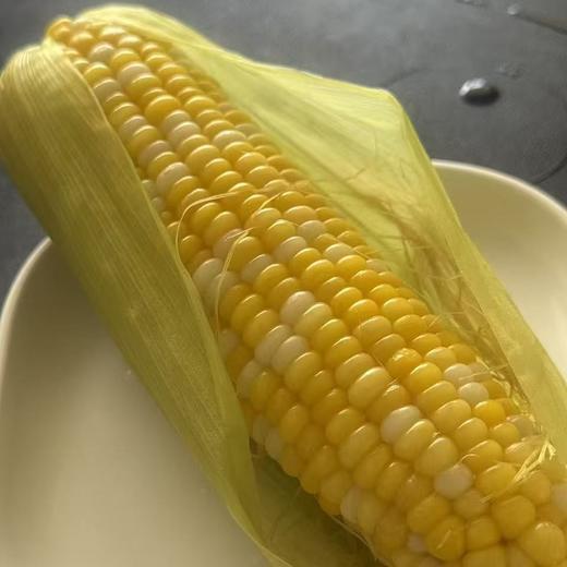 包邮！超好吃！云南高甜超嫩水果玉米【8根】生吃口感绝了，超甜，果肉细腻完全无渣，选品团队一致强烈推荐！ 商品图9