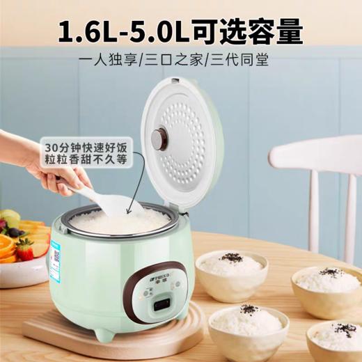 1.6L半球牌球釜电饭煲 商品图3