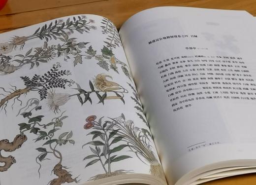 《补遗雷公炮制便览》，16开函套装，全2册，彩色印刷，[明]佚名宫廷画师绘，郑金生考校，上海辞书2022年8月版，定价880，售价488元。 商品图9