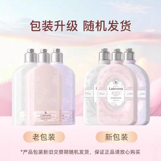 【买1送1 网红同款lado-vern香氛身体乳】甜蜜樱花身体乳持久留香250ml/瓶 商品图1