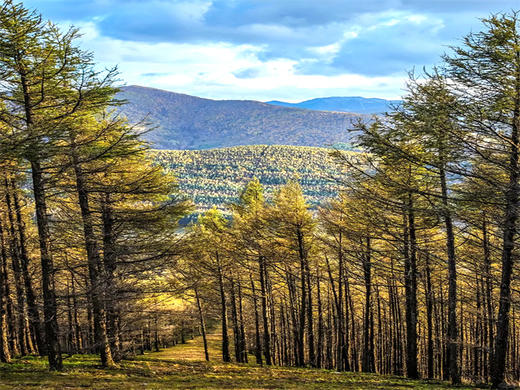五一3日【大青山徒步】赤峰的“山水沙”三重奏の美林谷-大青山-勃隆克沙漠の三天徒步33公里 商品图6