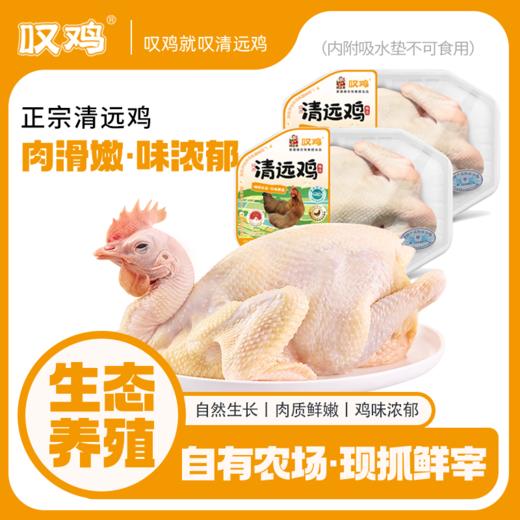 【顺丰/京东冷链】清远鸡母鸡  供港企业湾区金标认证 正宗清远鸡 168天母鸡 1kg/装 地标好物 - 叹鸡 商品图0