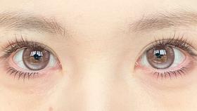vigour girl半年抛美瞳 小猫语音条 14.5mm