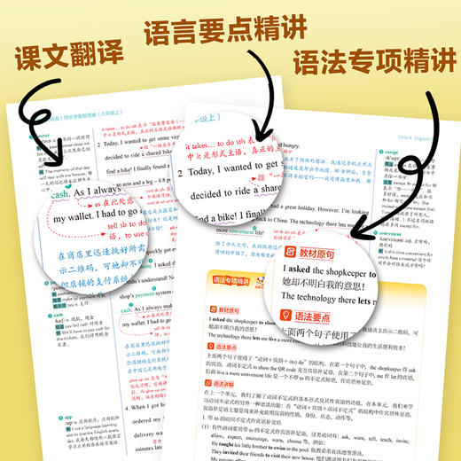 英语(新标准)同步学案智慧版(七年级上)（八年级上） 商品图9