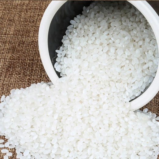 【吉供优选】小町香米  5kg 商品图4