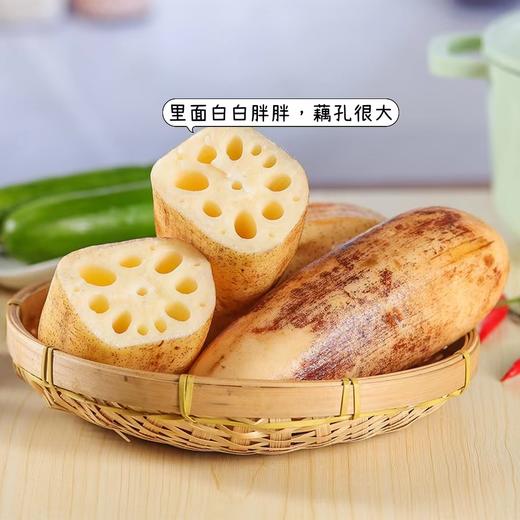 洪湖莲藕 商品图0