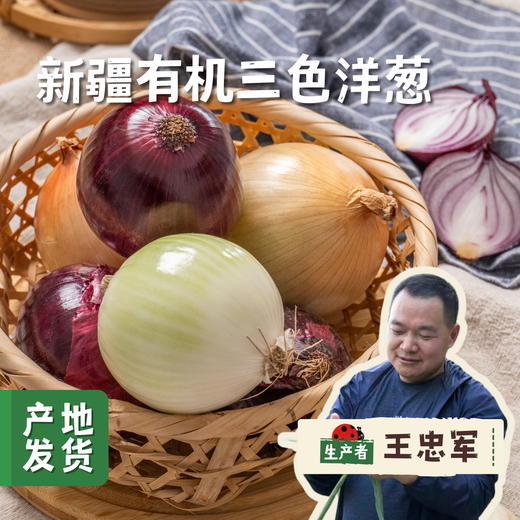 新疆有机三色洋葱 5斤（紫/黄/白三色）| 合作农友生产，产自新疆库尔勒，生产者：王忠军 *【公平贸易农人定价】 商品图0