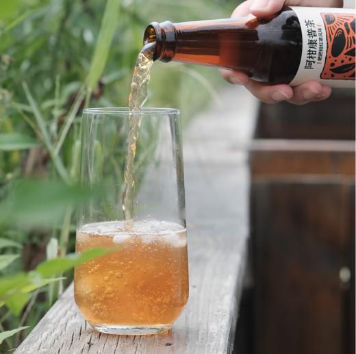 耙耙柑红茶康普茶  230ml*6瓶装 商品图3