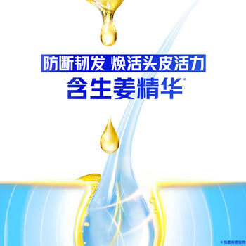 海飞丝生姜洗发水护根防断韧发750g男士女士洗头膏洗发露洗发液去屑 商品图4