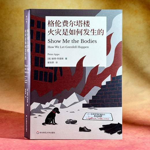 格伦费尔塔楼火灾是如何发生的 彼得·阿普斯 灾难治理 商品图3
