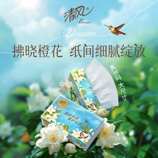 【ZY25】清风抽纸 花萃4层90抽*8包M码/提 商品图1