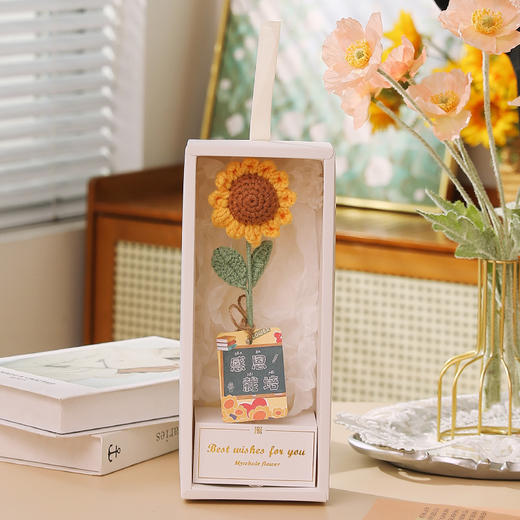 毛线钩织小花束浪    A-5146 商品图0