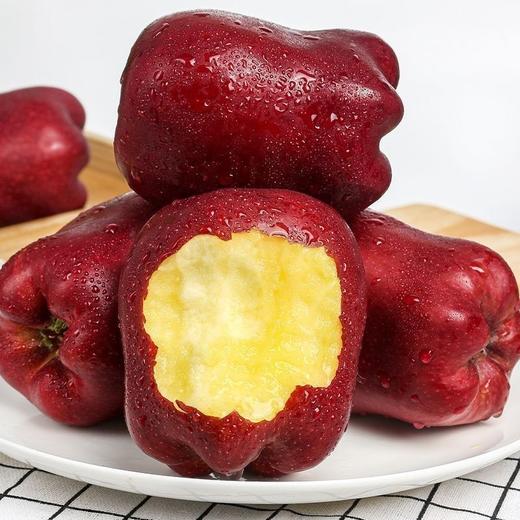 【助力】甘肃花牛苹果成熟啦！先脆后粉，香甜多汁，一果两吃！一颗吃过的人都赞不绝口的苹果。恳请转发支持！ 商品图4