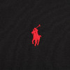 【超惠秒】RALPH LAUREH 拉夫·劳伦 男士刺绣logo长袖Polo T恤 11853 商品缩略图4