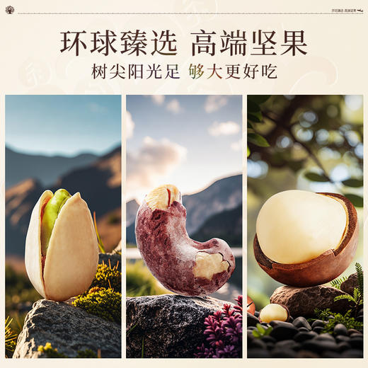 臻味-1.01kg环球臻果礼盒.WN 商品图2