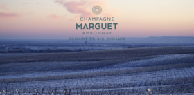  诺贝尔奖官方香槟，“神叨叨”的 Marguet 香槟