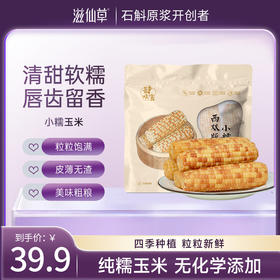 [滋仙草严选]云南西双版纳小糯玉米1500克/袋颗粒饱满浓浓玉米香