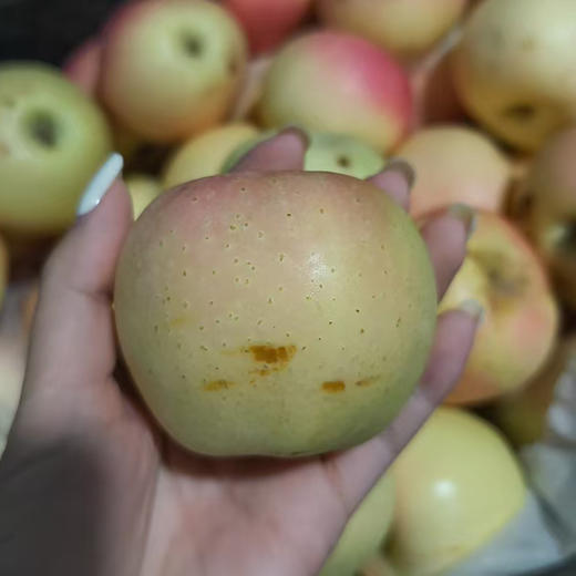 新鲜水果 陕西新苹果瑕疵果 3斤（微瑕疵，轻微磕碰；不影响食用 ） 商品图2