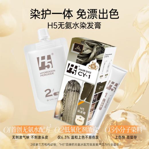 H5染发膏无氨水配方彩染 商品图2