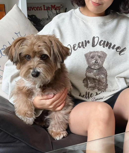 韩国dp新出的小熊狗卫衣08282 商品图0