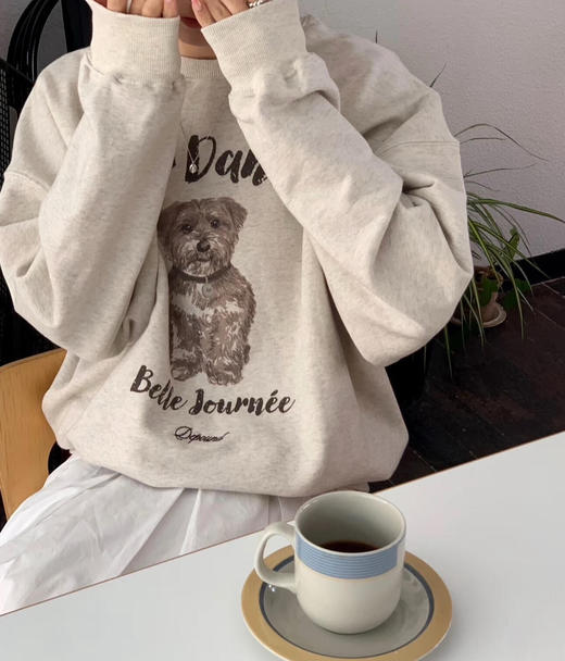 韩国dp新出的小熊狗卫衣08282 商品图4