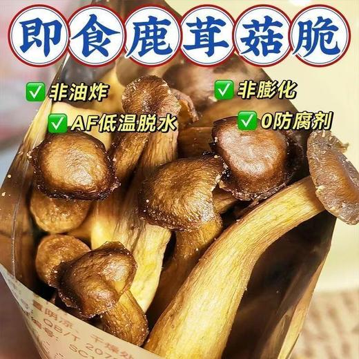 酥脆不油腻！零食新宠【椒盐鹿茸菇脆】非油炸膨化 0防腐剂🍄满满的都是大自然的味道 商品图0